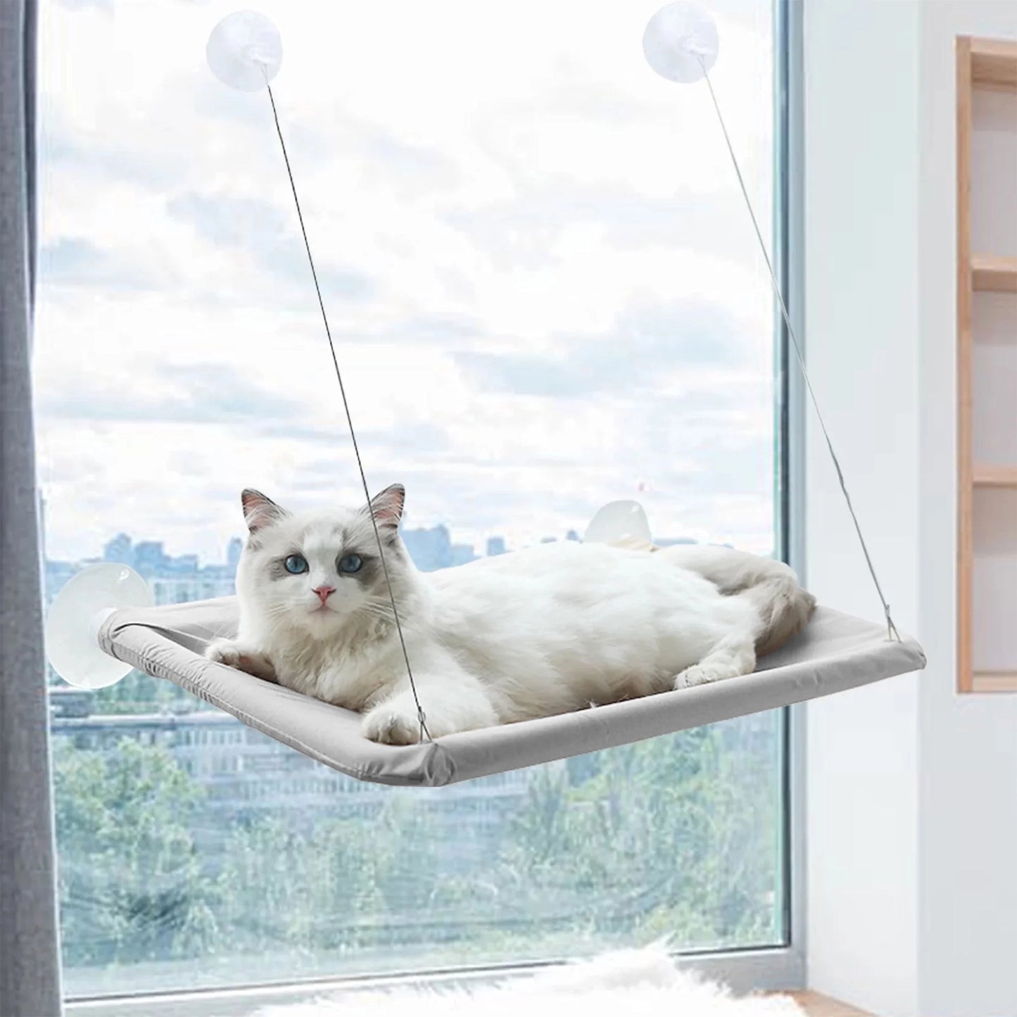Window Cat Hammock Cat Window Sill Perch Cat Bed Pet Cat Window Sill Stand Suction Cup Hanging Cat Litter Box-Grey