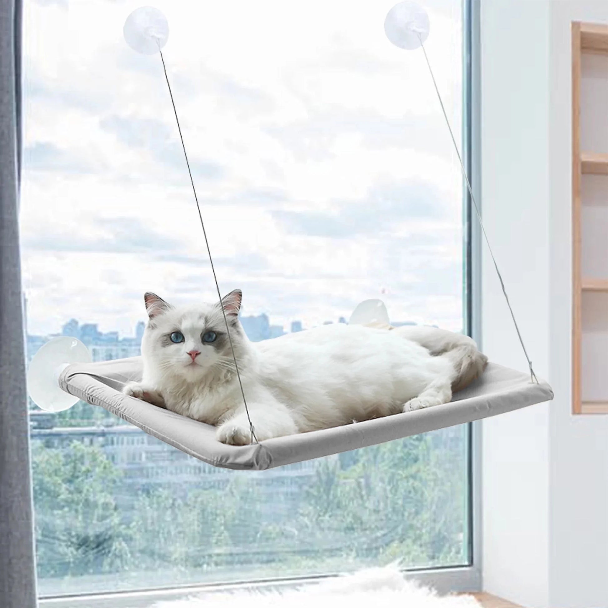 Window Cat Hammock Cat Window Sill Perch Cat Bed Pet Cat Window Sill Stand Suction Cup Hanging Cat Litter Box-Grey