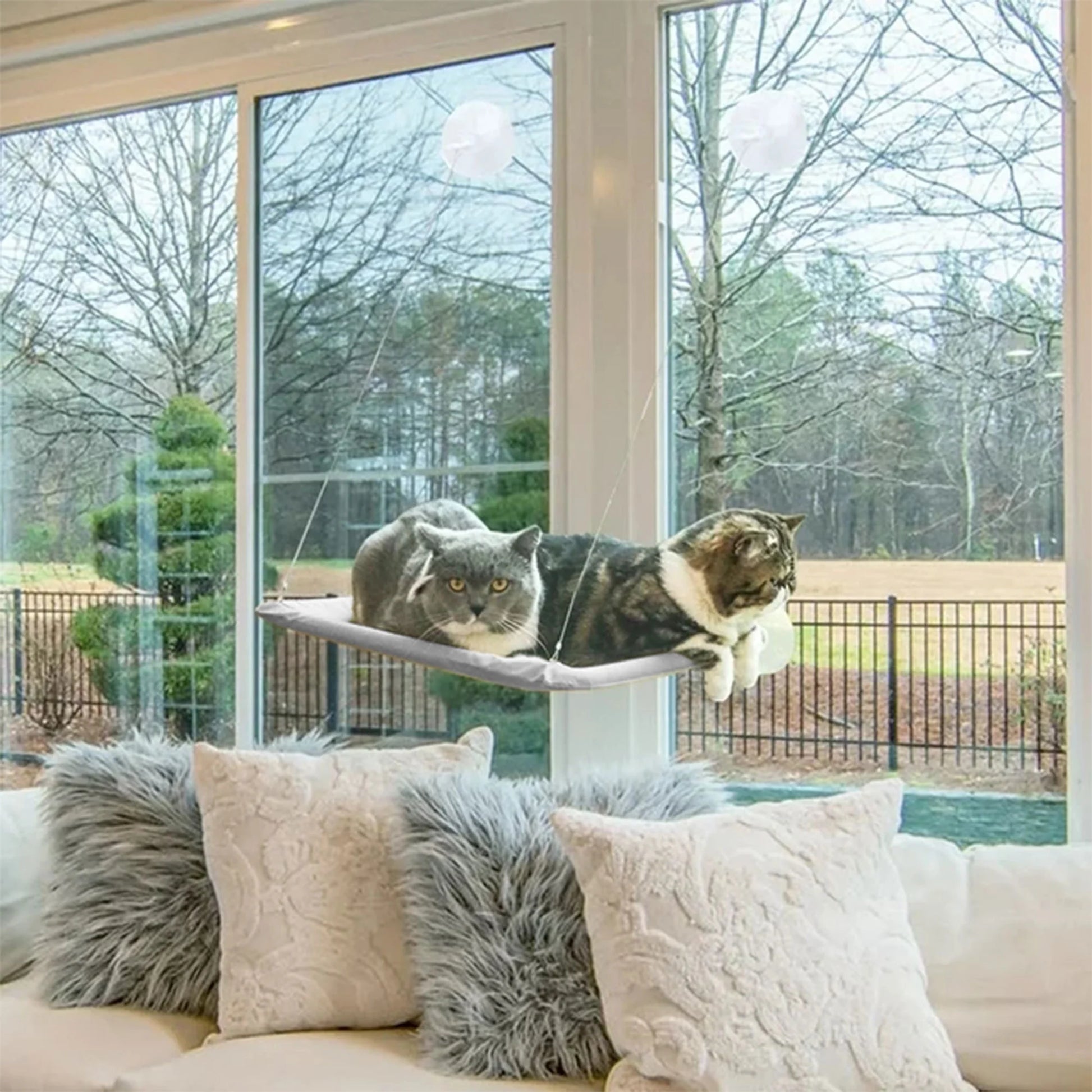 Window Cat Hammock Cat Window Sill Perch Cat Bed Pet Cat Window Sill Stand Suction Cup Hanging Cat Litter Box-Grey