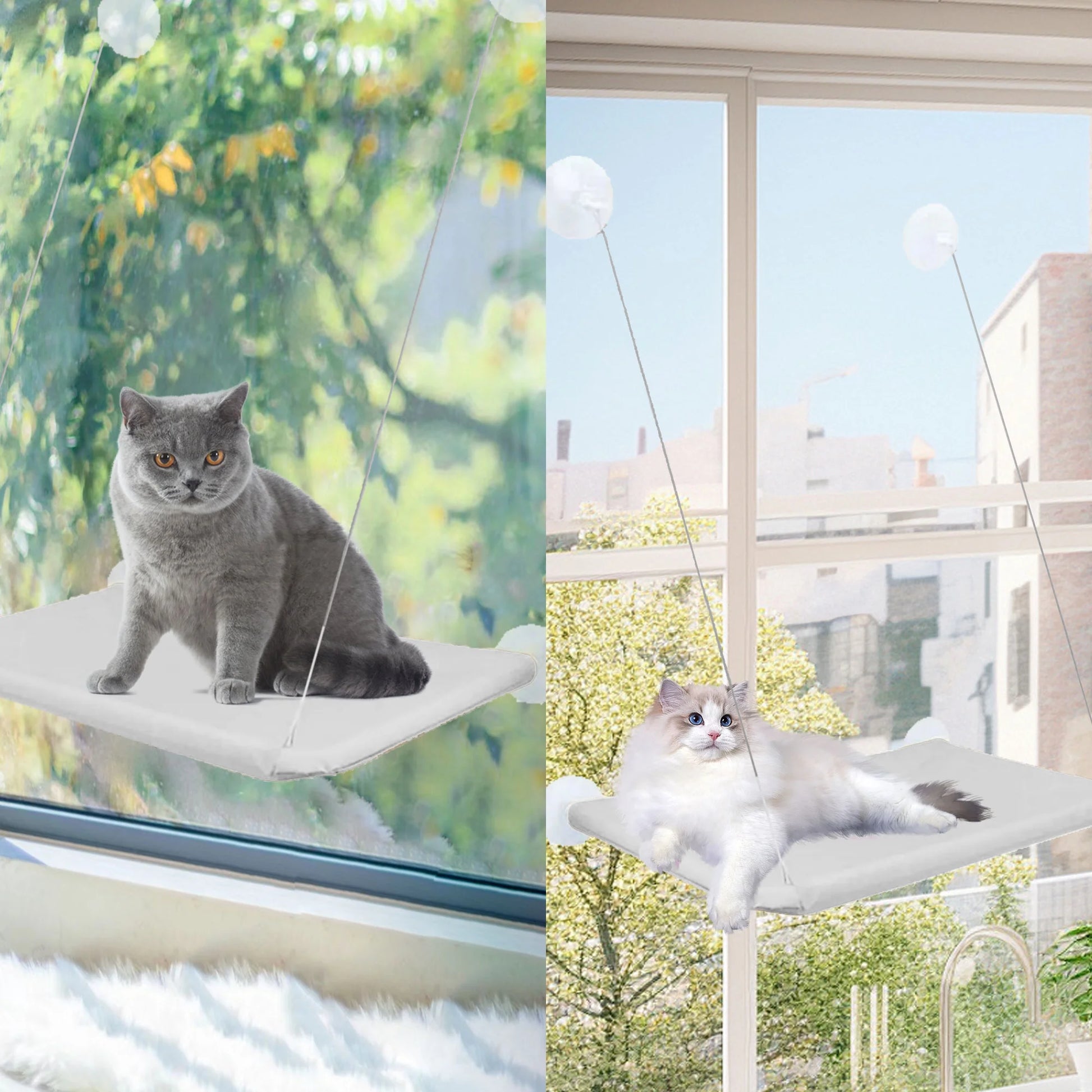 Window Cat Hammock Cat Window Sill Perch Cat Bed Pet Cat Window Sill Stand Suction Cup Hanging Cat Litter Box-Grey